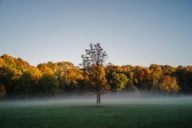 Morning atmosphere during autumn in the Englischer Garten in Munich 