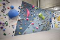In a climbing hall there is a bouldering wall with different coloured stones