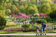 A father walks with two small children through the springtime Munich Westpark.