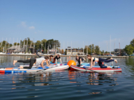 A group of people doing yoga exercises on their SUPs at Lake Starnberg.