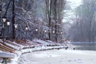 The Seehaus at the English Garden in Winter in Munich