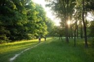 Two women on wheels cycle in the green into the evening sun in Munich.