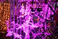 Pink fairy lights hanging from a railing