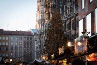View of the large Christmas tree at the Christkindlmarkt on Marienplatz in Munich