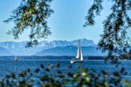 Sailing boat on Lake Starnberg with Alpine panorama