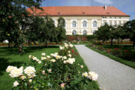 Bordes de rosas en el jardín del castillo de Dachau