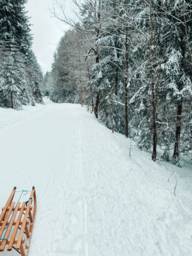 A sledge stands on a snowy forest path.