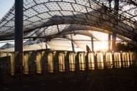 Entrance to the Olympic Stadium in Munich at sunset in autumn