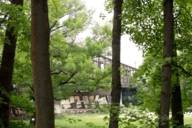 View through green deciduous trees to the Braunauer Eisenbahnbrücke over the Isar river in Munich