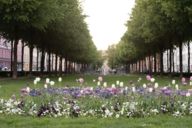 View on the Bordeauxplatz in Munich with flower bed and greenery bordered by rows of trees.