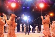 Dresseur d'animaux avec plusieurs lions sur la piste du cirque Krone.