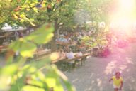 Back light in the beer garden in late summer Munich