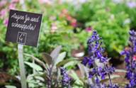 Sign saying "Close your eyes and scale" in a flower bed on the grounds of the Bavarian State Garden Show 2024 in Kirchheim near Munich.