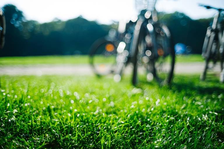 Bikes stand in the green grass in the English Garden in Munich