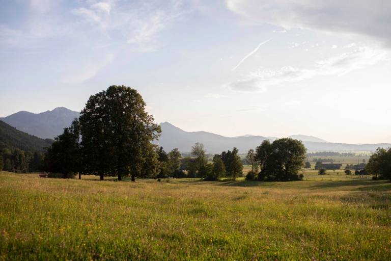 Landscape near Kochel am See