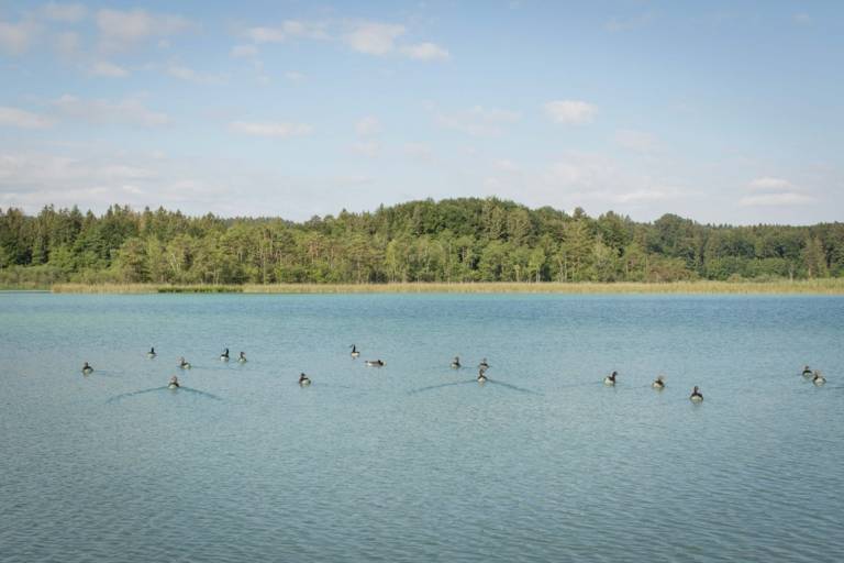 Osterseen in the hinterland of Munich.