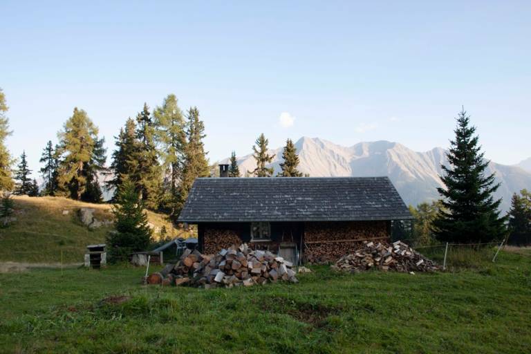 Una cabaña de madera para almacenar leña en un prado de la montaña.