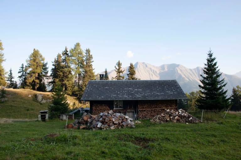 Una capanna di legno per conservare la legna da ardere su un prato in montagna.