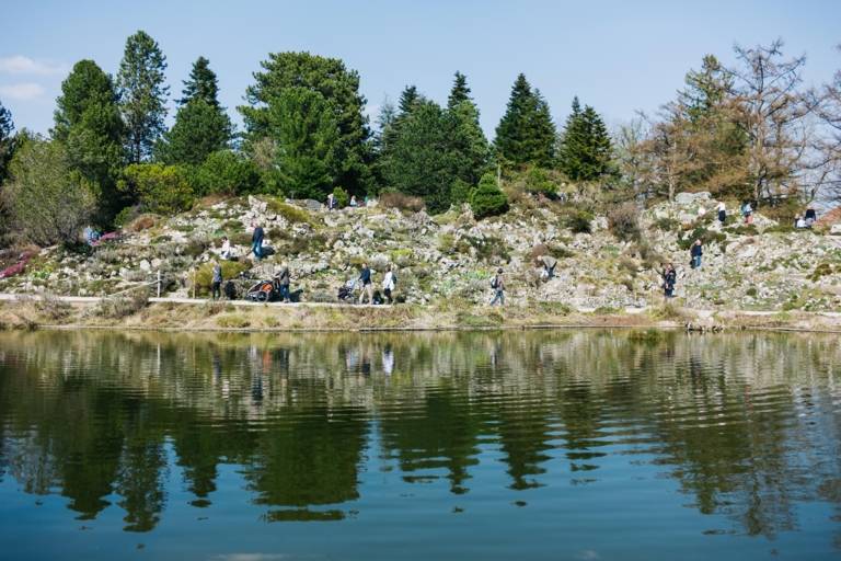 Visitors walking on a lake in the botanical garden in Munich