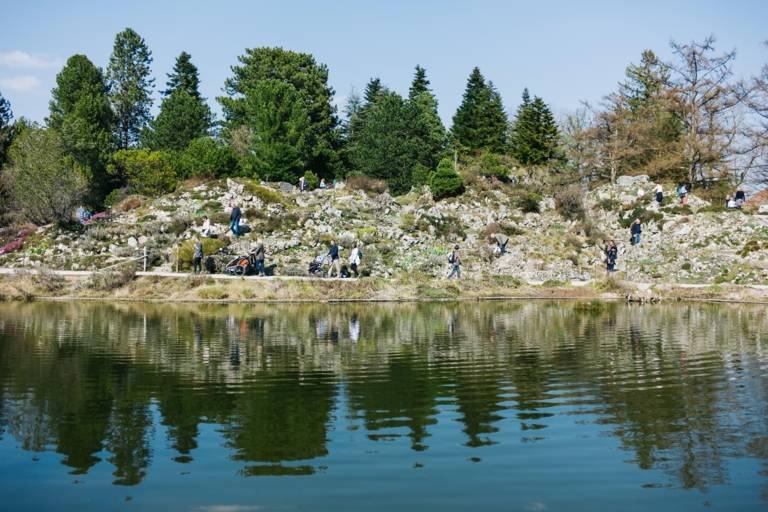 Visits walking on a lake in the botanical garden in Munich